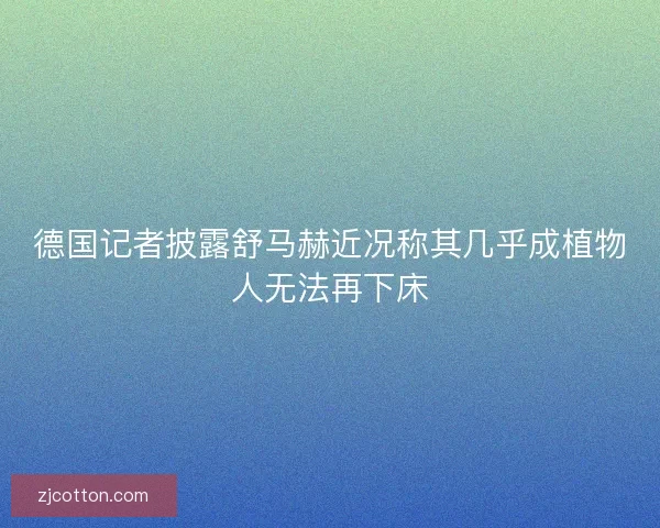 德国记者披露舒马赫近况称其几乎成植物人无法再下床 德国记者披露舒马赫近况称其几乎成植物人无法再下床