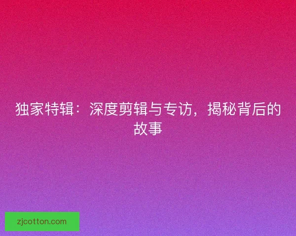 独家特辑：深度剪辑与专访，揭秘背后的故事