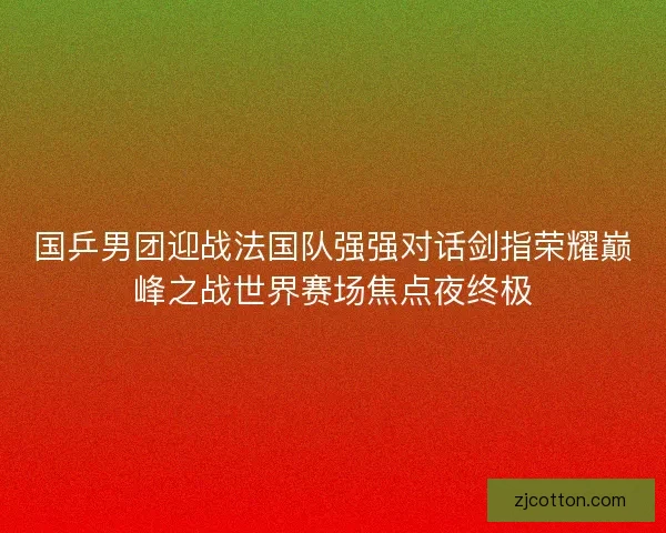 国乒男团迎战法国队强强对话剑指荣耀巅峰之战世界赛场焦点夜终极