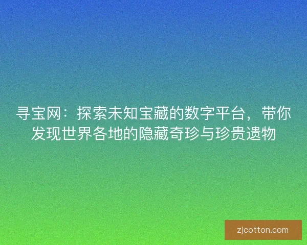 寻宝网：探索未知宝藏的数字平台，带你发现世界各地的隐藏奇珍与珍贵遗物