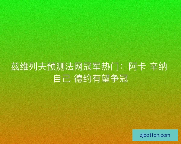 兹维列夫预测法网冠军热门:阿卡 辛纳 自己 德约有望争冠 兹维列夫预测法网冠军热门:阿卡 辛纳 自己 德约有望争冠