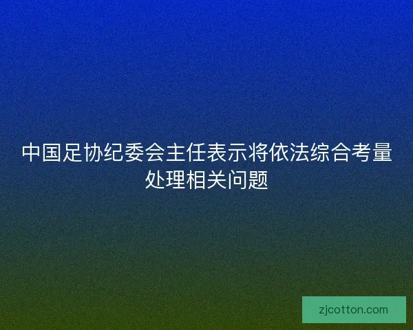 中国足协纪委会主任表示将依法综合考量处理相关问题