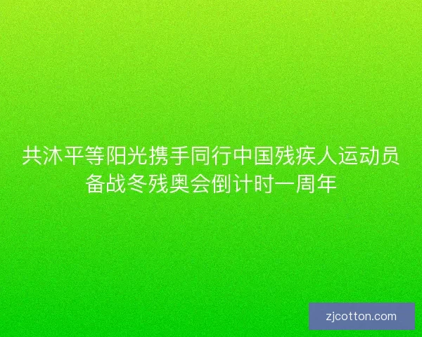 共沐平等阳光携手同行中国残疾人运动员备战冬残奥会倒计时一周年